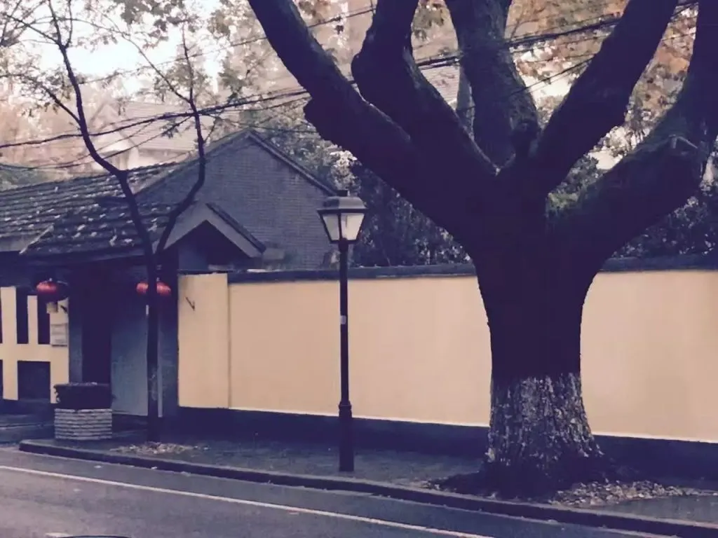 littlebigtree