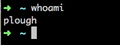 whoami